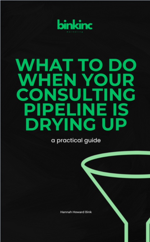 Cover of the eBook: What to Do When Your Consulting Pipeline Is Drying Up, a practical guide by Hannah Howard Bink